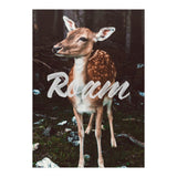 Roam (Print Only) thumbnail