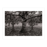 Golgotha (Print Only) thumbnail