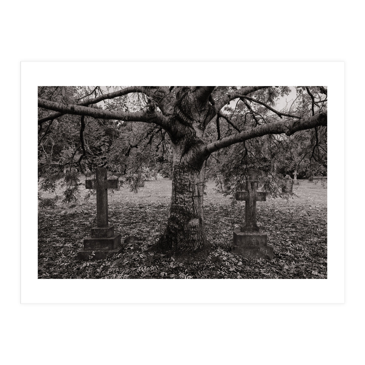 Golgotha (Print Only)