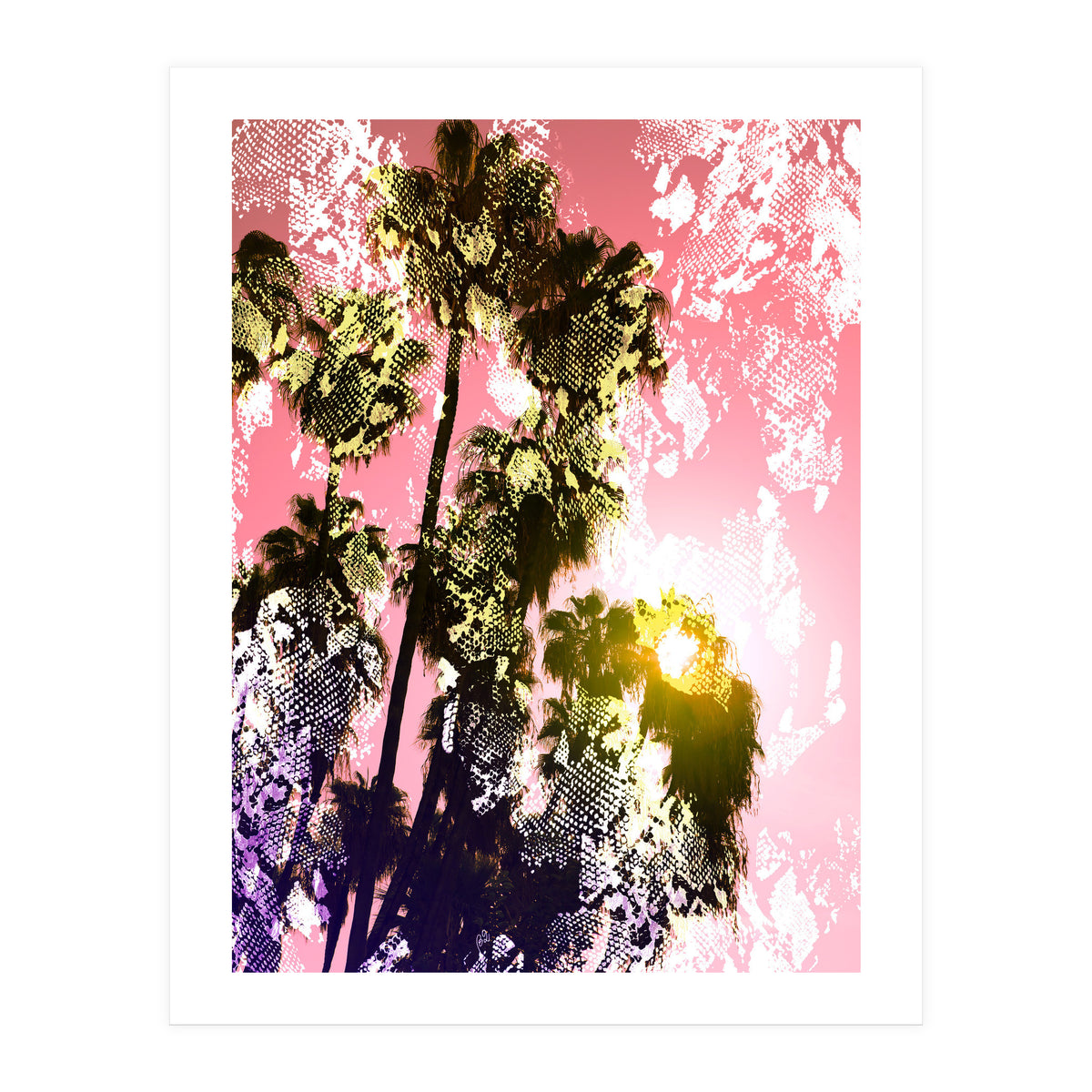 Snake sunset in paradise  (Print Only)