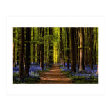 The Path To Light (Print Only) thumbnail