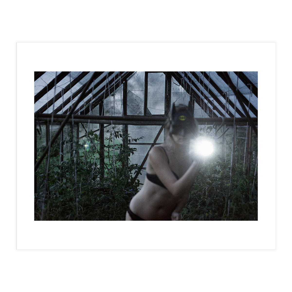 Tomatoes Thief (Print Only)