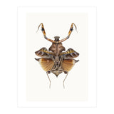 Cc Insects 06 (Print Only) thumbnail