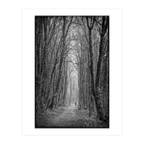 Forest path (Print Only) thumbnail