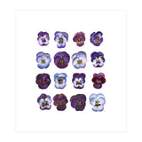 A Watercolour Study Of Violas (Print Only) thumbnail