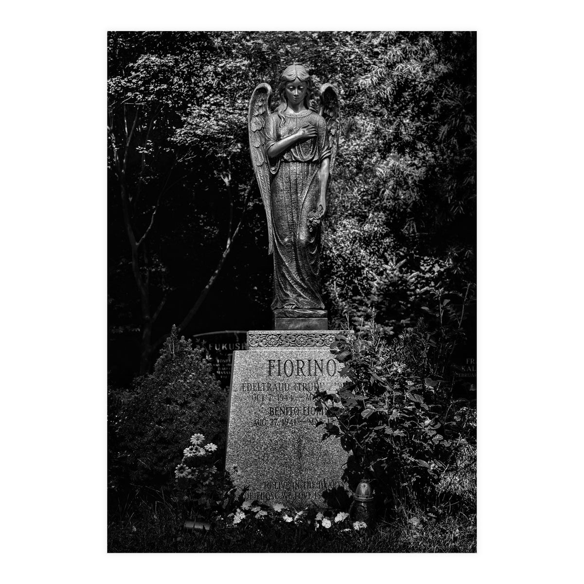 Tombstone Shadow No 18 (Print Only)