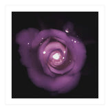 Glittering Rose (Print Only) thumbnail