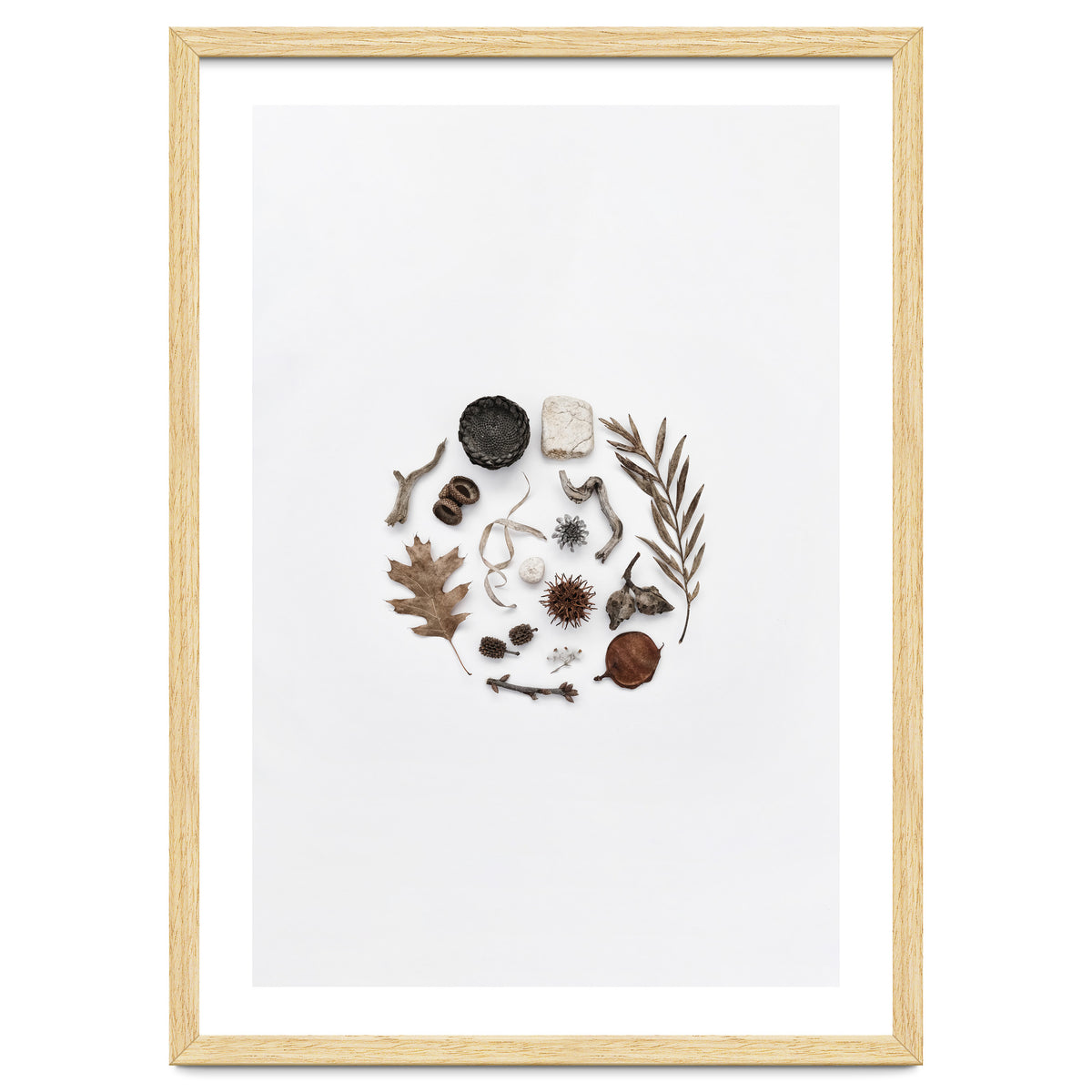 Treasures From Nature No. 2