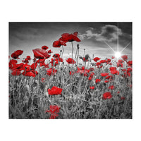 Idyllic Field of Poppies with Sun (Print Only)