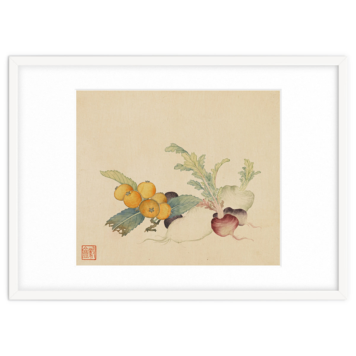 Wang Chengpi~flowers And Vegetables, Vegetables, Fruits, Loquat, White Radish, Carrot, Radish