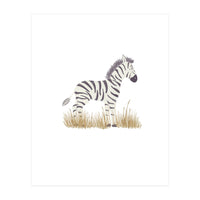 Zebra  (Print Only)