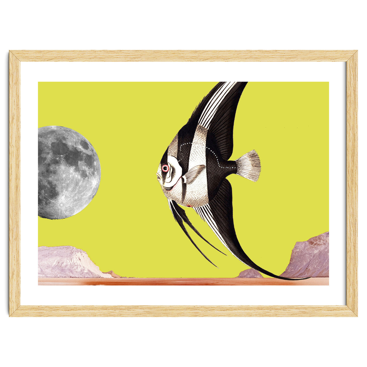 Plenty of fish in the sea yellow