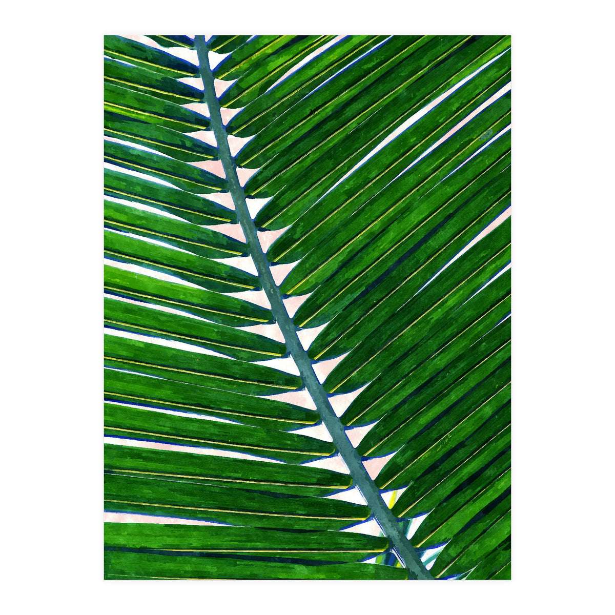 Foliage V3 (Print Only)