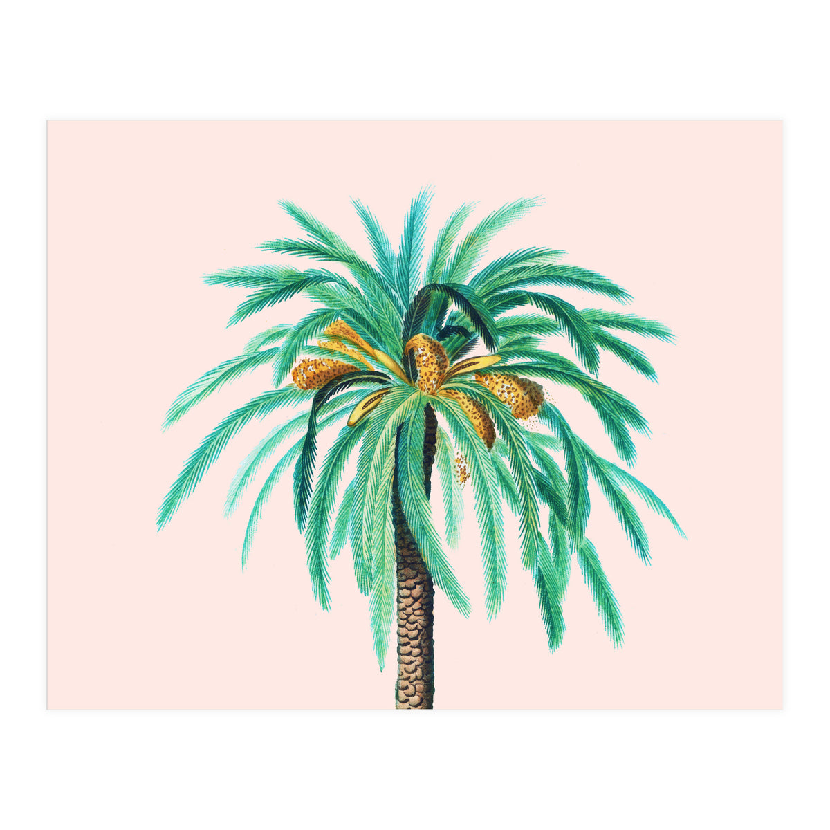Coconut Island (Print Only)