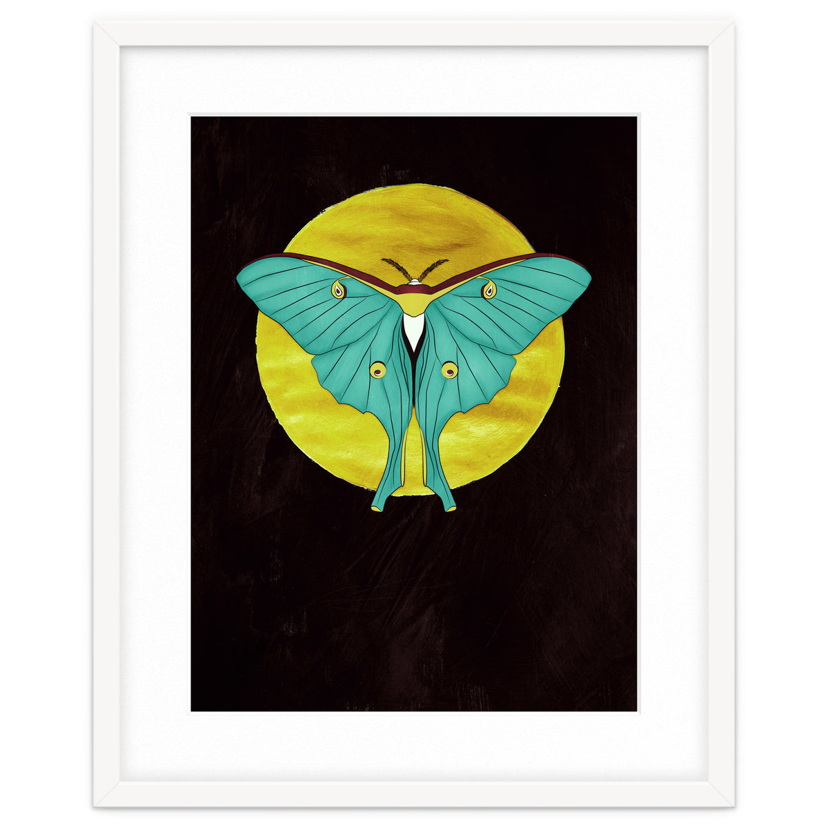Luna Moth Moon