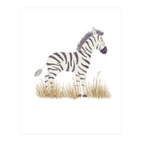 Zebra  (Print Only) thumbnail