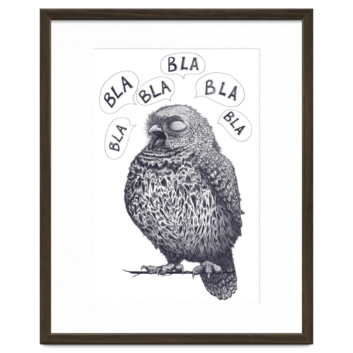 Owl Bla Bla Bla