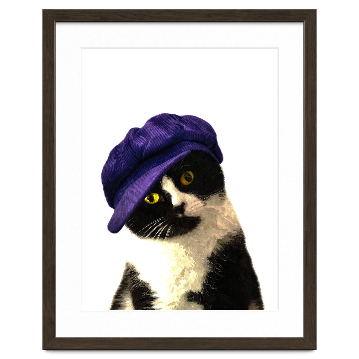 Cat Blue Hat