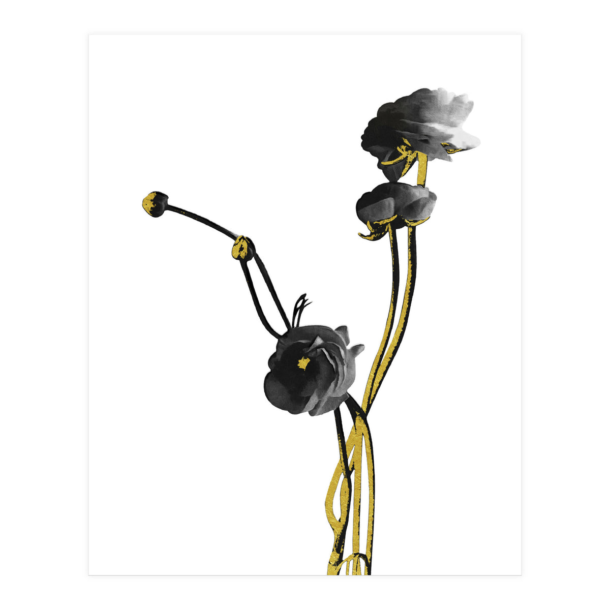 Flower Minimal Black And Gold 04 (Print Only)