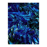 Blue  (Print Only) thumbnail