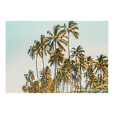 Island Life III (Print Only) thumbnail