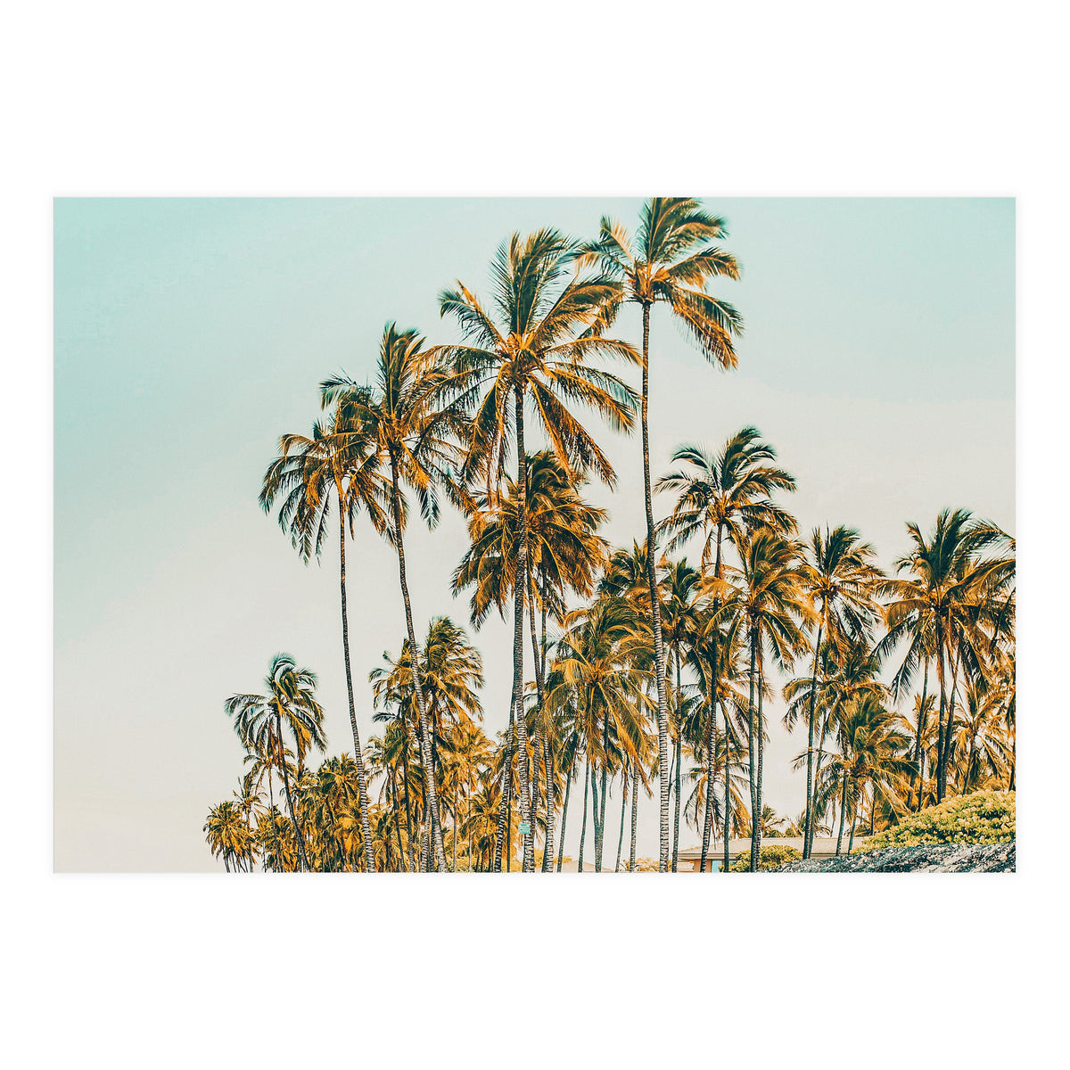 Island Life III (Print Only)