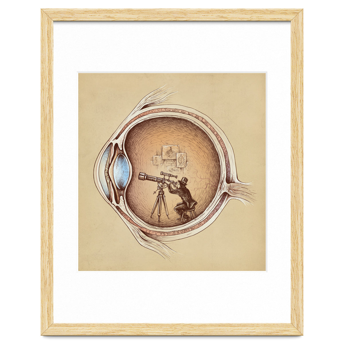 Extraordinary Observer