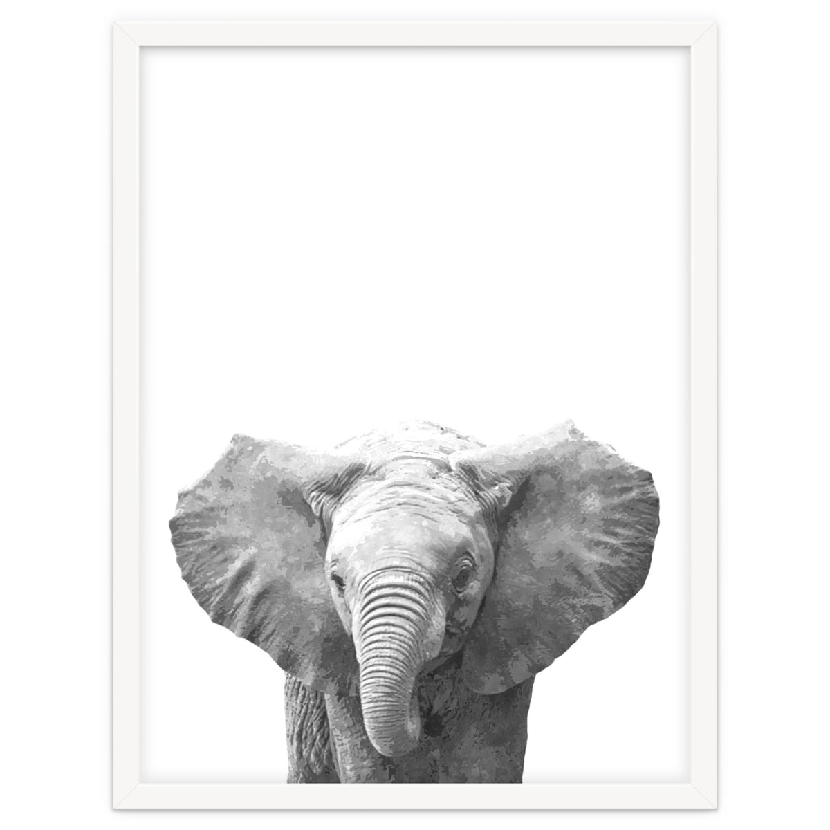 Black and White Baby Elephant