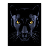Panther (Print Only) thumbnail