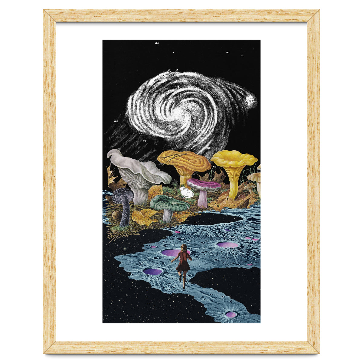 Follow The White Rabbit