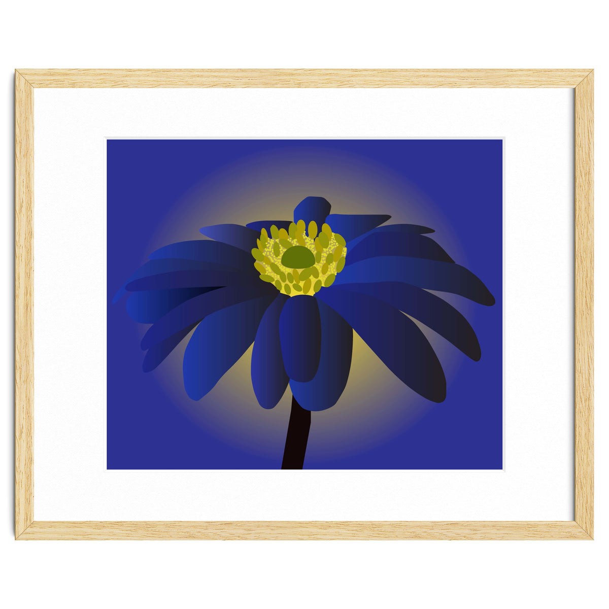 Anemone Blanda Flower Art