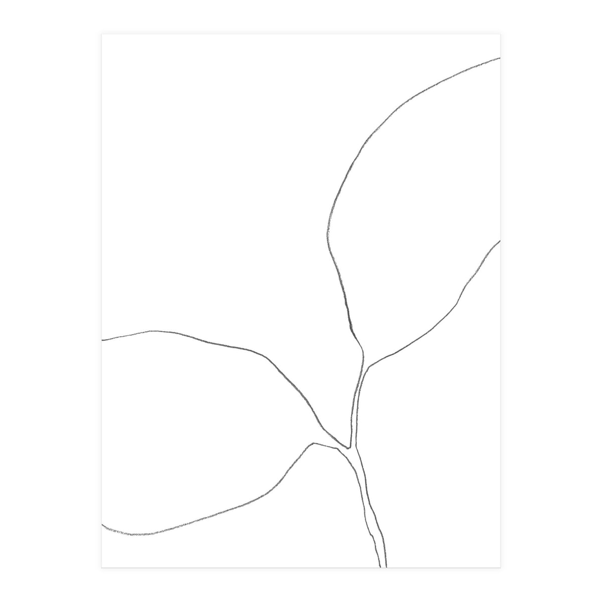 Seedling Leaning Left (Print Only)