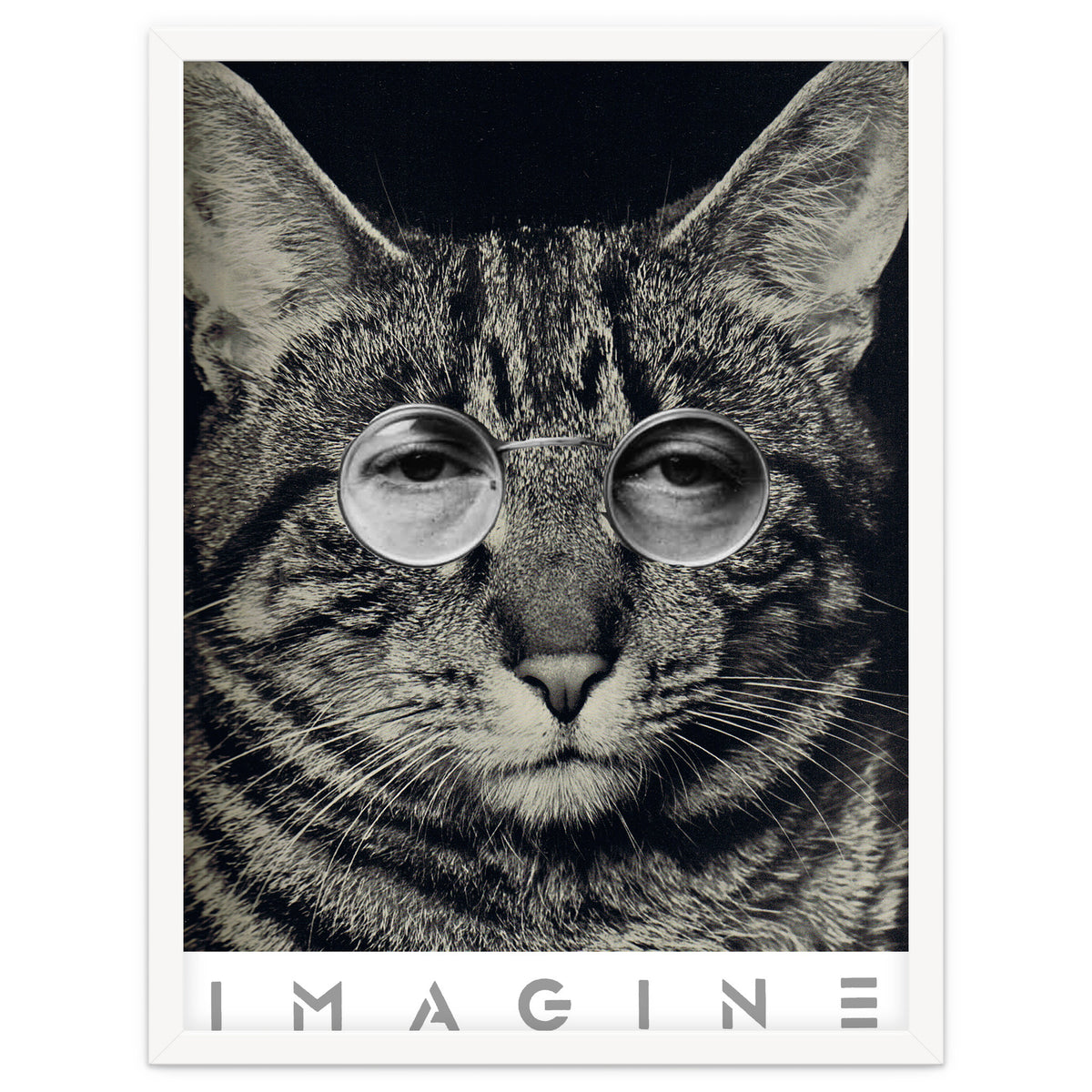 Imagine