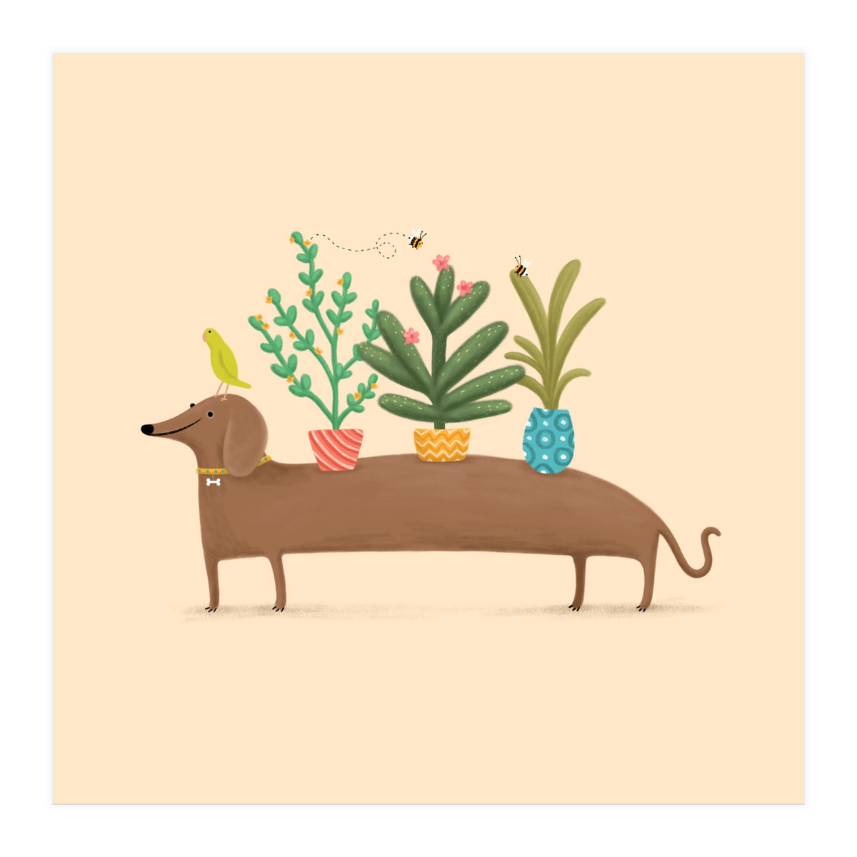 Dachshund And Parrot (Print Only)