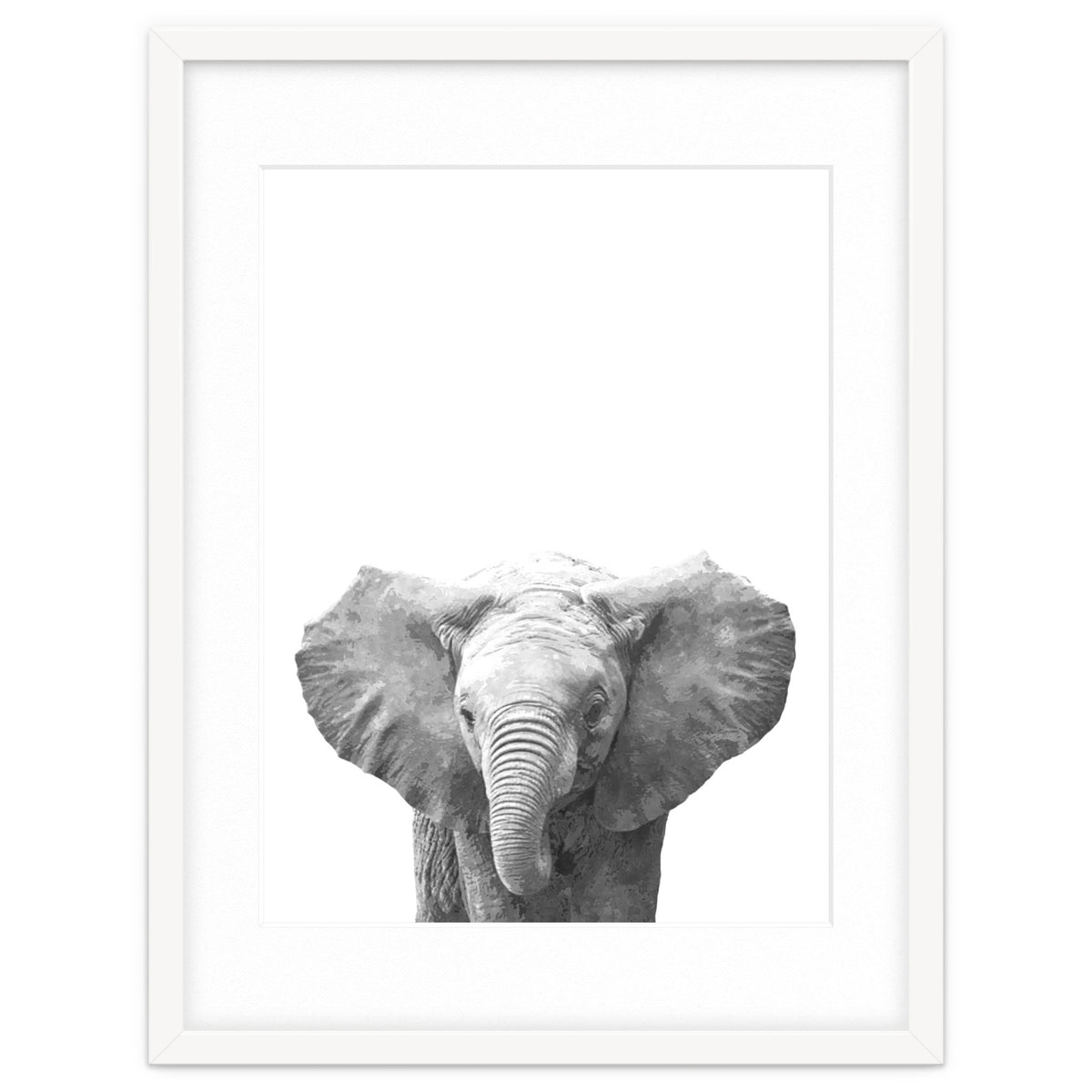 Black and White Baby Elephant