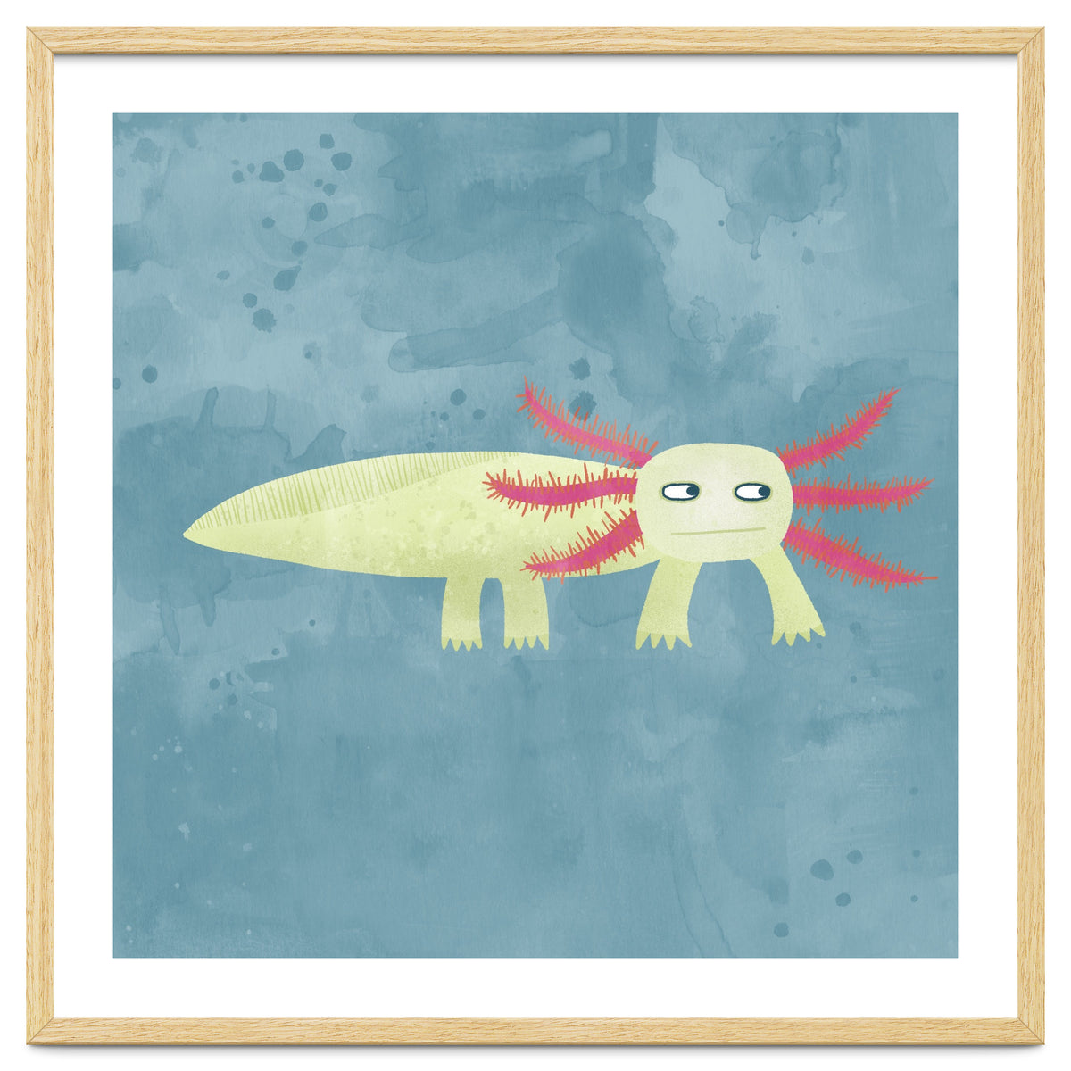 Axolotl