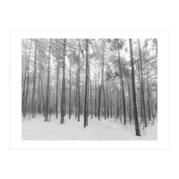 Let It Snow Forest (Print Only)