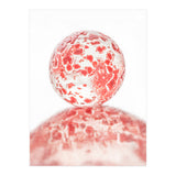 Marble (Print Only) thumbnail