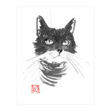 Chat Gris (Print Only) thumbnail