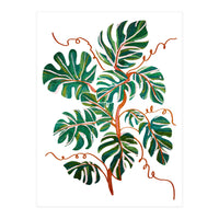 Monstera Deliciosa (Print Only)