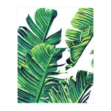 Banana Tree Leaves (Print Only) thumbnail