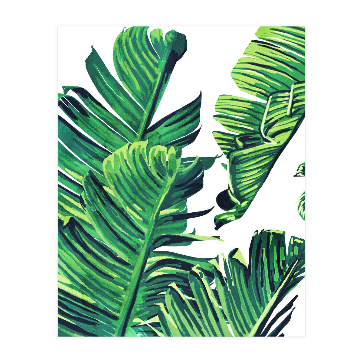 Banana Tree Leaves (Print Only)