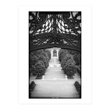 Baroque garden (Print Only) thumbnail