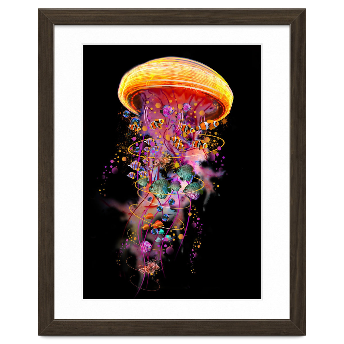 Jelly Fish Ride Summer2018 Dbh