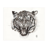 Tiger (Print Only) thumbnail
