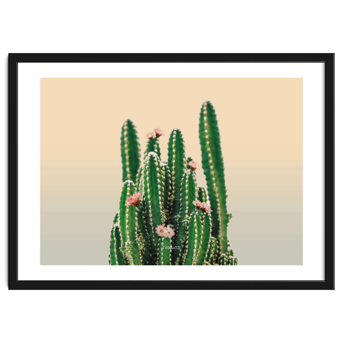 Flowered Cactus