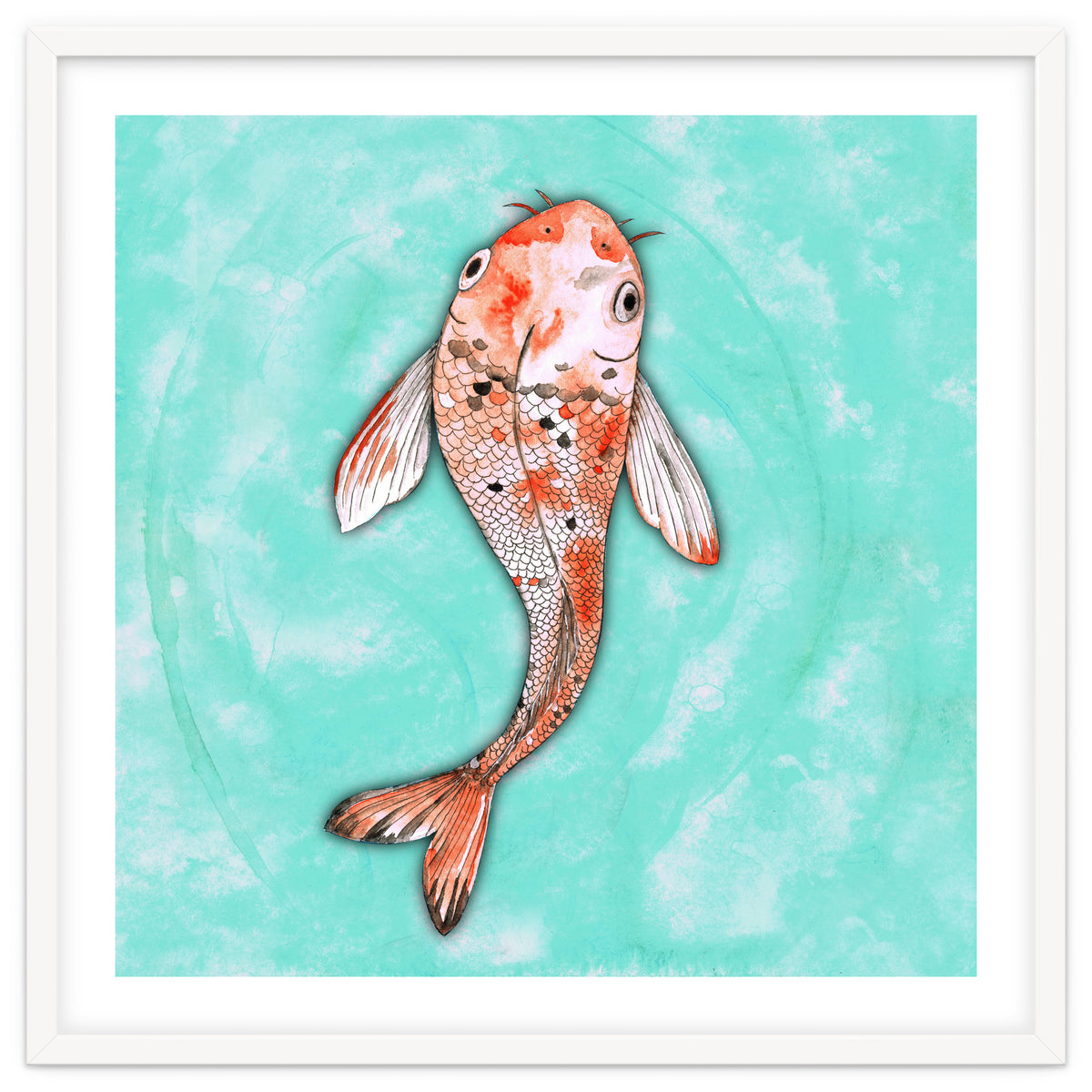 Koi fish