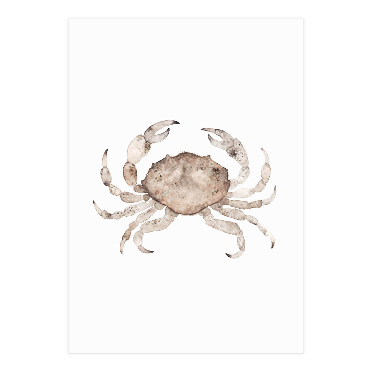 Crab (Print Only)