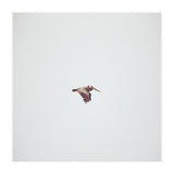 Solo Flight (Print Only) thumbnail