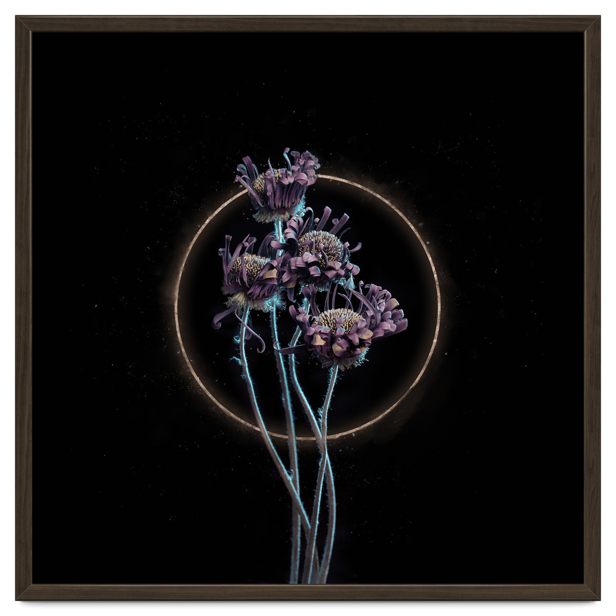 Candy-Coloured Mystery